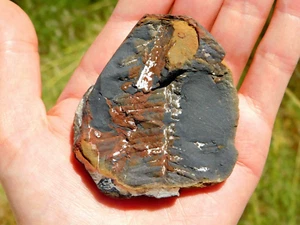 Natural Carboniferous Fern Leaf Fossil Complete Pair in Shale from Missouri USA - Picture 1 of 10