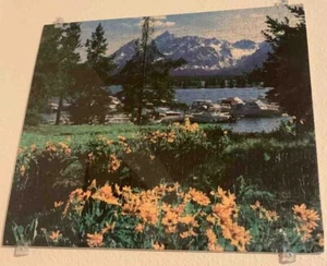 16x18 "Colter Bay, WY" Grand Teton Puzzle Art by Lloyd 500Pc Puzzle/Picture - Picture 1 of 3