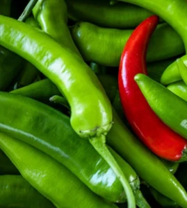 200 Serrano HOT Pepper Seeds | Non-GMO | Garden Seeds| (200 Seeds) - Picture 1 of 3