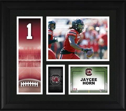 Jaycee Horn South Carolina Gamecocks Framed 15"x 17" Player Core Collage Cover