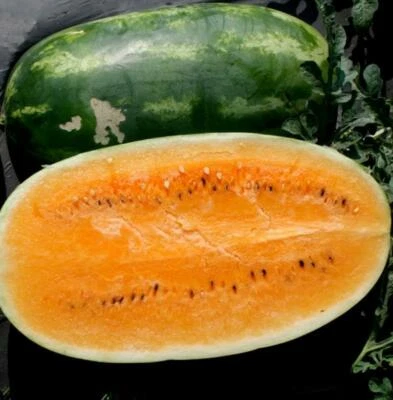Tendersweet Orange Watermelon Seeds, Very Sweet, NON-GMO, Heirloom, FREE SHIP - Image 1 of 2