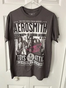 Camiseta gris Aerosmith Bad Boys From Boston para hombre talla M - Excelente estado - Imagen 1 de 2