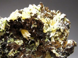 Mimetite Tsumeb Mine Otjikoto Region Namibia - Picture 1 of 6