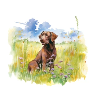 Pegatina coche pegatina labrador pegatina - Imagen 1 de 1