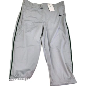 Nike Team Vapor Select Baseball Pants Mens XL Gray Green Piped New BQ9021-056 - Picture 1 of 8