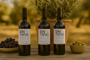 Sin 1/2 Tintas Bodega Coloma Rotwein Garnacha Tintorera aus Spanien kräftig 3 Fl - Bild 1 von 4