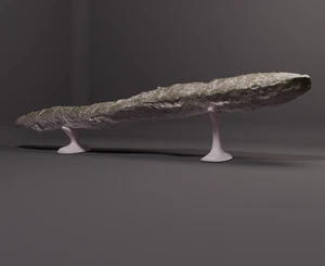Objeto interestelar Oumuamua cometa impreso en 3D longitud ~ 450 mm - Imagen 1 de 3