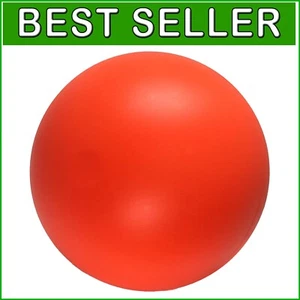 14-Inch Floatable Hard Plastic Dog Ball - Perfect for Push and Herding Play - Picture 1 of 8