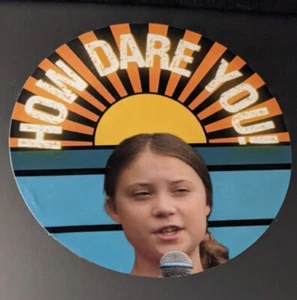 Calcomanía de 3" Pegatina How Dare You Greta Thunberg divertida ventana bomba de gasolina puerta meme - Imagen 1 de 2