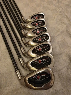 Planchas Callaway Big Bertha 2004/plancha 3-9/flexión regular Callaway RCH 75 - Imagen 1 de 4