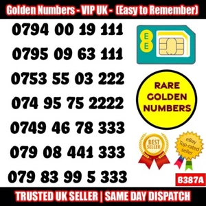 GOLD EASY MOBILE NUMBER MEMORABLE PLATINUM VIP UK PAY AS YOU GO SIM LOT - B387A