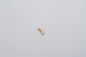 EBEL SPORT CLASSIQUE ARMBAND ERSATZGLIED GLIED LINK 16MM STAHL/GOLD NEUE VERSION - Bild 1 von 2