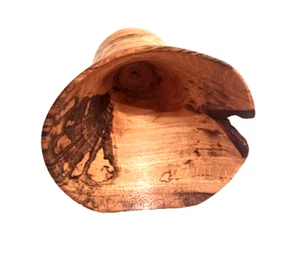 Kampfer Spalted Wood Bowl, Artisan Studio Art, Drehbank gedrechselt Künstler signiert 2008 - Bild 1 von 8