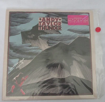 ANDY TAYLOR THUNDER DURAN DURAN EX/NM VINYL LP L10 - Image 1 of 2