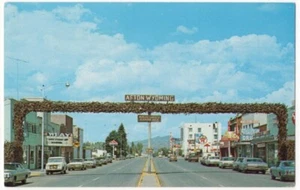 ELK HORN ARCH AFTON WY VINTAGE POSTCARD 1976 092321 Q - Picture 1 of 2