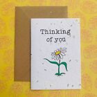Thinking of you - Wildflower Plantable Seed Card