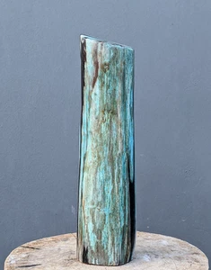 Rara casa in pietra di legno pietrificata fossile 2,05 kg. Decorazione Ornamento - Foto 1 di 8