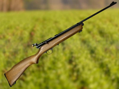 Rifle de pellets Crosman 160 calibre .22 Bolt Action CO2 Foto 1 de 4