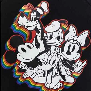 Disney Pride Mickey & Friends Hoodie - Fleece Black Sz 4 - Picture 1 of 6
