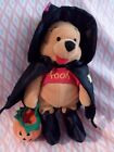 2000 Winnie The Pooh Halloween Teddy Collectible 