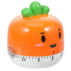  Children's Timer Toothbrush Fruit Timers Cooking Alarm Carrot