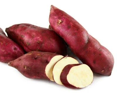 KOREAN WHITE Flesh Sweet Potato ORGANIC TUBER SEED Bulb For Planting BIO non-GMO - Image 1 of 2