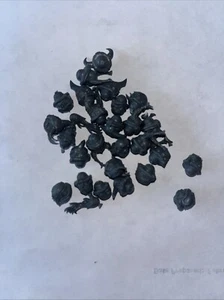 Chaos Space Marine Legionaries Heads X26 - Picture 1 of 1