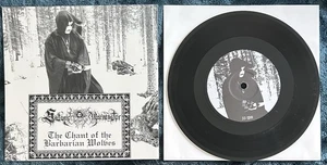 "A BLOOD SATANIC WARMASTER split 7"" EP Warloghe Behexen Clandestine Blaze Horna" - Imagen 1 de 24