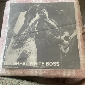 Bruce Springsteen - The Great White Boss - Bottom Line 1975 Live LP - Imagen 1 de 4