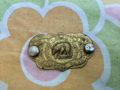 Ancien Petit Insigne De Boîte À Lunettes Ours Wild Bear Ltd Park  - Photo 1/3