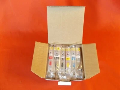 Wiederbefüllbare Patronen für Canon PGI550 CLI551 Autoresetchip Pixma 6 tlg grau - Bild 1 von 4