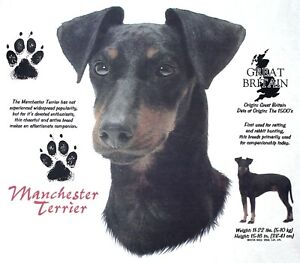 Manchester Terrier Dog History of Manchester Terrier New T-Shirts