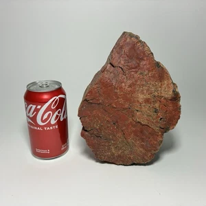 Huge 12 lb 5 oz RED Petrified Wood Log Chunk with Bark Edge - Looks Awesome! - Picture 1 of 16
