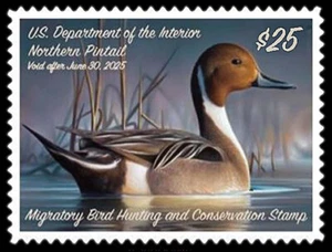 RW91 — 2024 Federal duck stamp - Picture 1 of 1