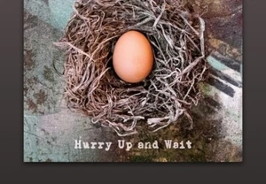 Soul Asylum - Hurry Up And Wait Vinyl Record NEW 2020 RSD - Picture 1 of 1