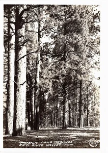 Campo pubblico Red River Valley RPPC 1930 mai usato foto reale quasi nuovo - Foto 1 di 2