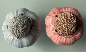 RARE HARD TO FIND - Blue and Pink Garlic Cloves Bulbs Salt and Pepper Shakers - Picture 1 of 5