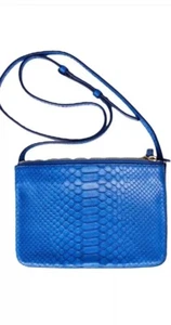 Rare Celine Blue Leather Python Trio Bag - Picture 1 of 7