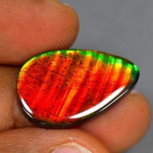 14.81Ct Extreme Natural Canadian Multi-color Ammolite Loose Gemstone - Picture 1 of 2