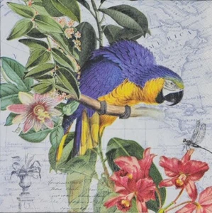 TWO Individual Napkins Parrot Tropical Orchids Lunch Decoupage (423) - Picture 1 of 5