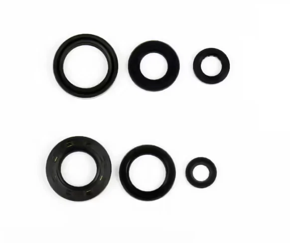 ATHENA Paraolio motore 47 YAMAHA WR 200 Foto 1 de 1