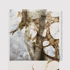 PSYCHOFAGIST / NAPALMED - split CD DIGIPAK - CD - TOTAL GRINDCORE/JAZZ MASSACRE - Bild 1 von 1