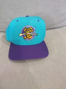 Vintage Charleston Riverdogs Hat snapback New Era Minor League BASEBALL Pro - Picture 1 of 9
