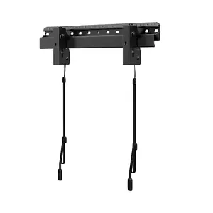 ErgoAV Large Low Profile Fixed Mount for 42" to 90" TVs with Pull Cord Lock - Picture 1 of 11
