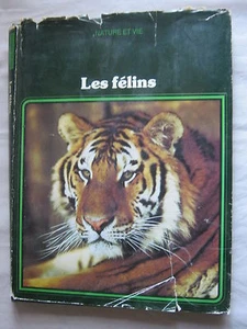 Les félins - Bild 1 von 1