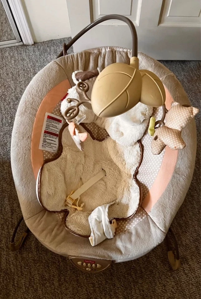 Fisher-Price My Snuggapuppy 豪华摇椅 — 第 1/3 张图片