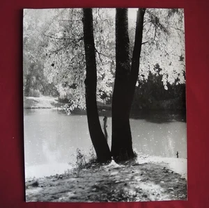 Original USSR Ukraine Artistic PHOTO 1960s Black/White Landscape 23"/60cm/SIGNED - Picture 1 of 5