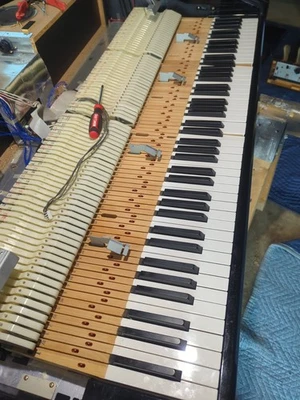 Yamaha Clavinova CVP 900 Replacement Keys White And Black For Piano Keyboard - Image 1 of 3