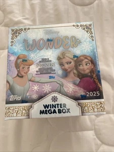 2025 Disney Wonder - Winter Mega Box - Brandneu IN HAND - Bild 1 von 2