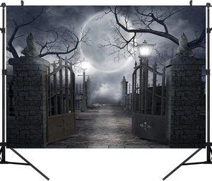 Halloween Night Full Moon Backdrop Gloomy Woods Graveyard Photography Background - Picture 1 of 8